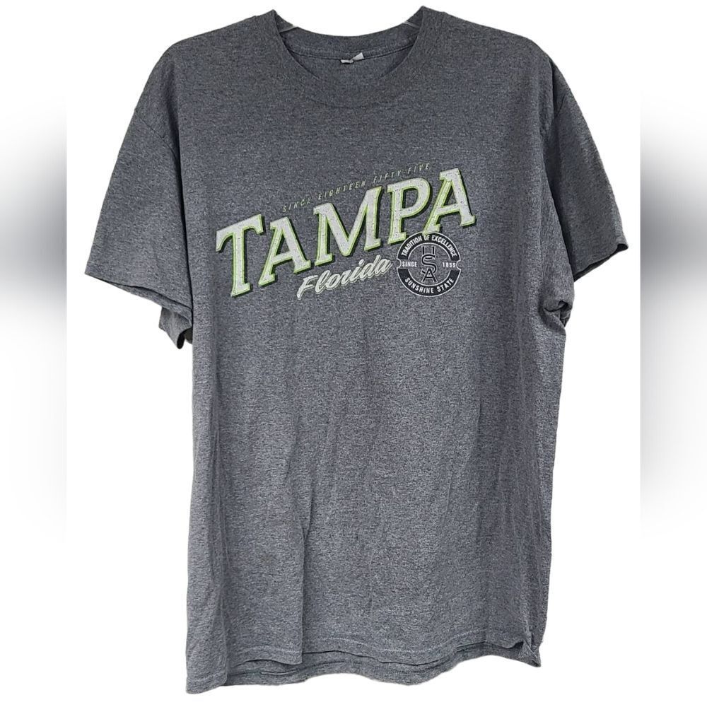 Men's Basic Graphic Print Tee - Gray Tampa Florida Sunshine State T-Shirt Large